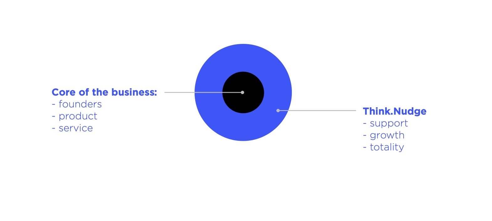 Business Consulting for Think Nudge